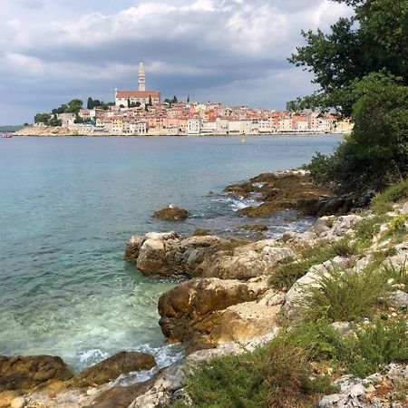 Guest House Golden Goose Rovinj Exteriör bild